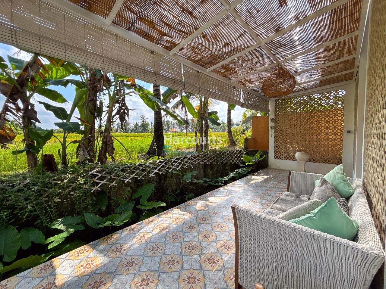 Nestled Amidst Tranquil Rice Tropical Modern