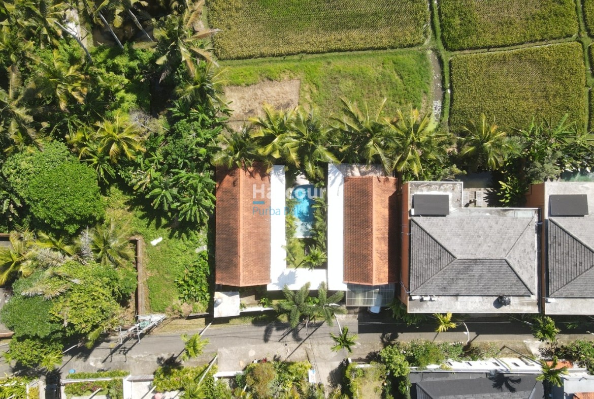Nestled Amidst Tranquil Rice Tropical Modern1