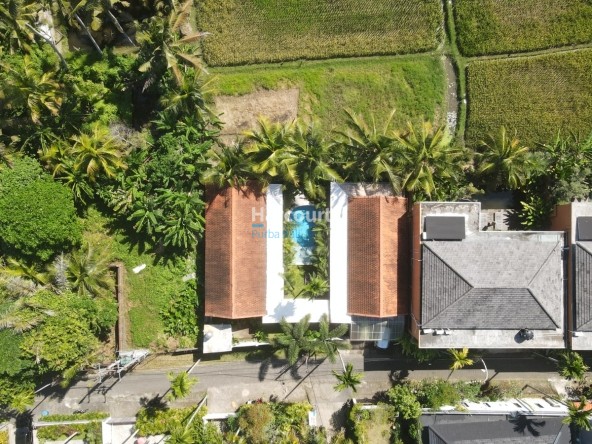 Nestled Amidst Tranquil Rice Tropical Modern1