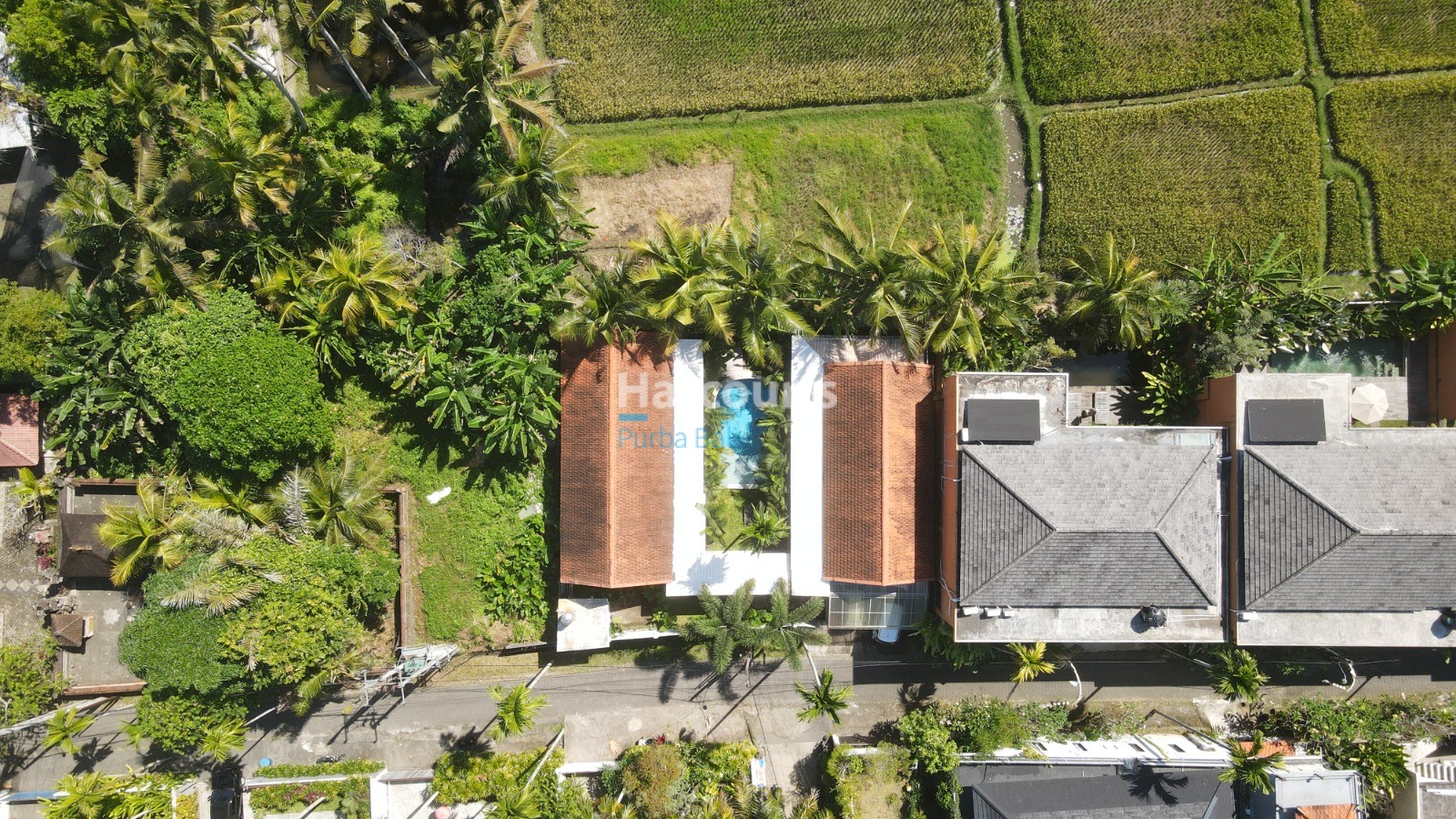 Nestled Amidst Tranquil Rice Tropical Modern1