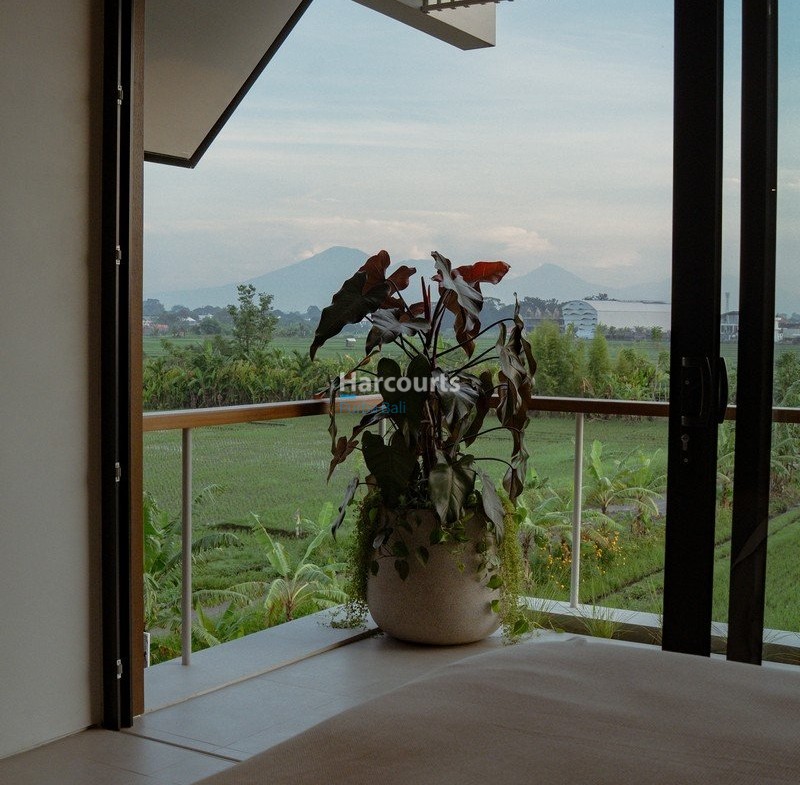 Positioned Babakan One Canggus Real Estate Bali