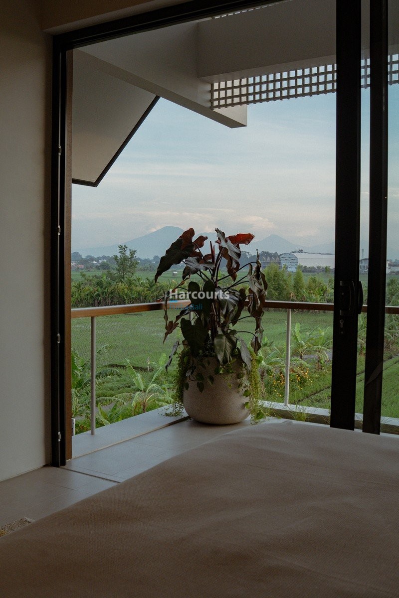 Positioned Babakan One Canggus Real Estate Bali