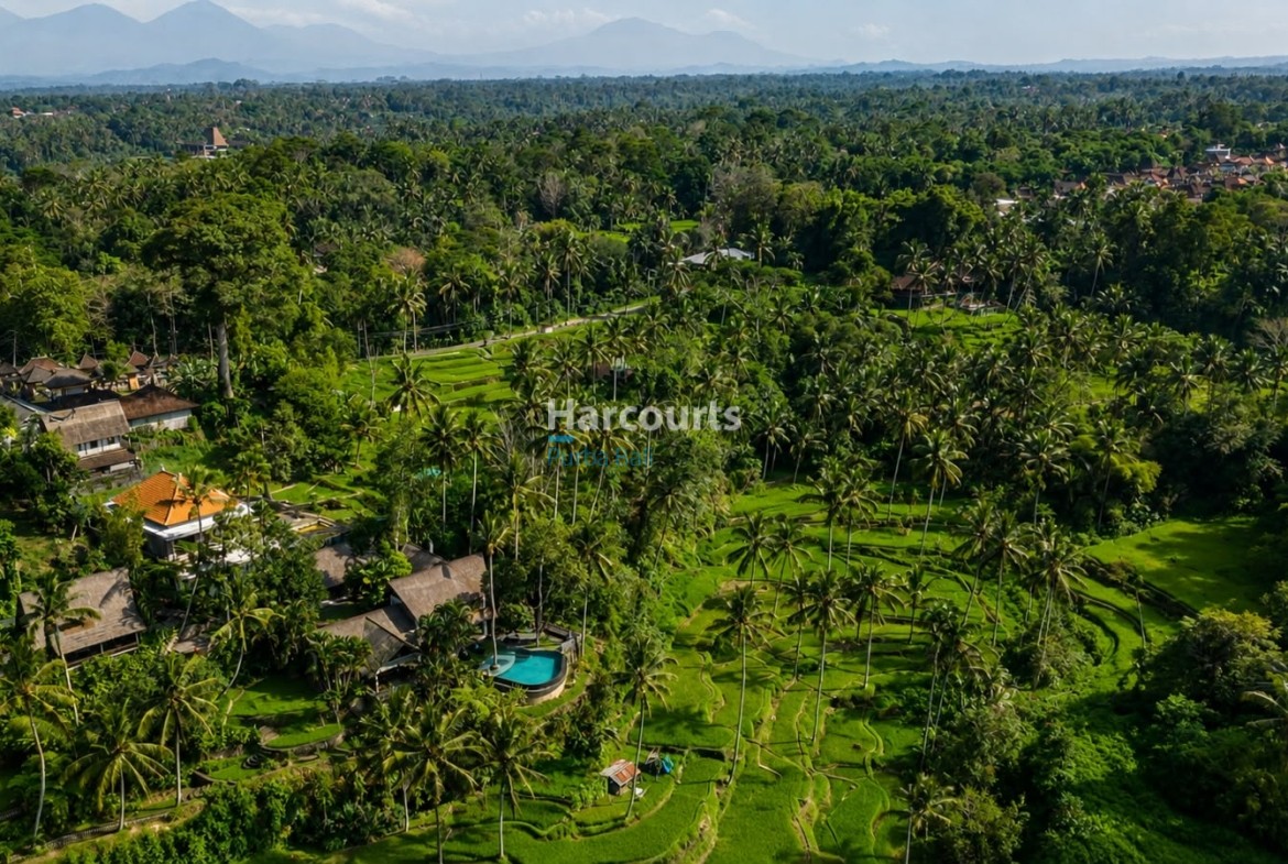 High Shot Taman Carik