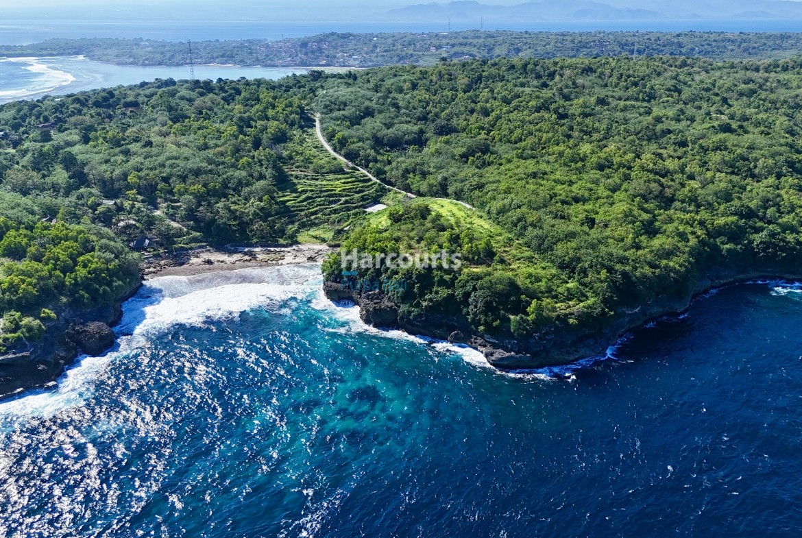 Img 0925