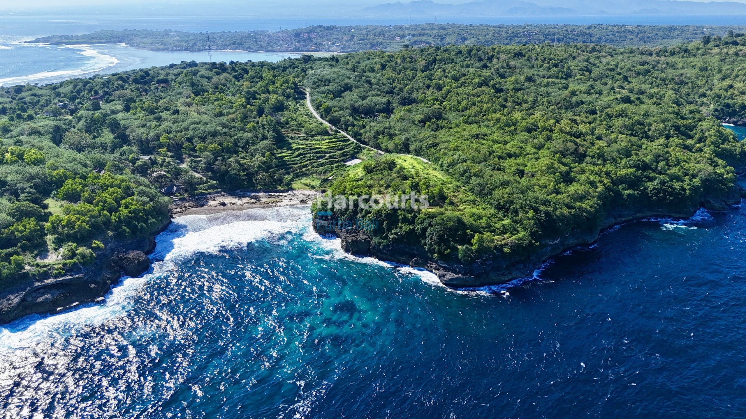 Img 0925