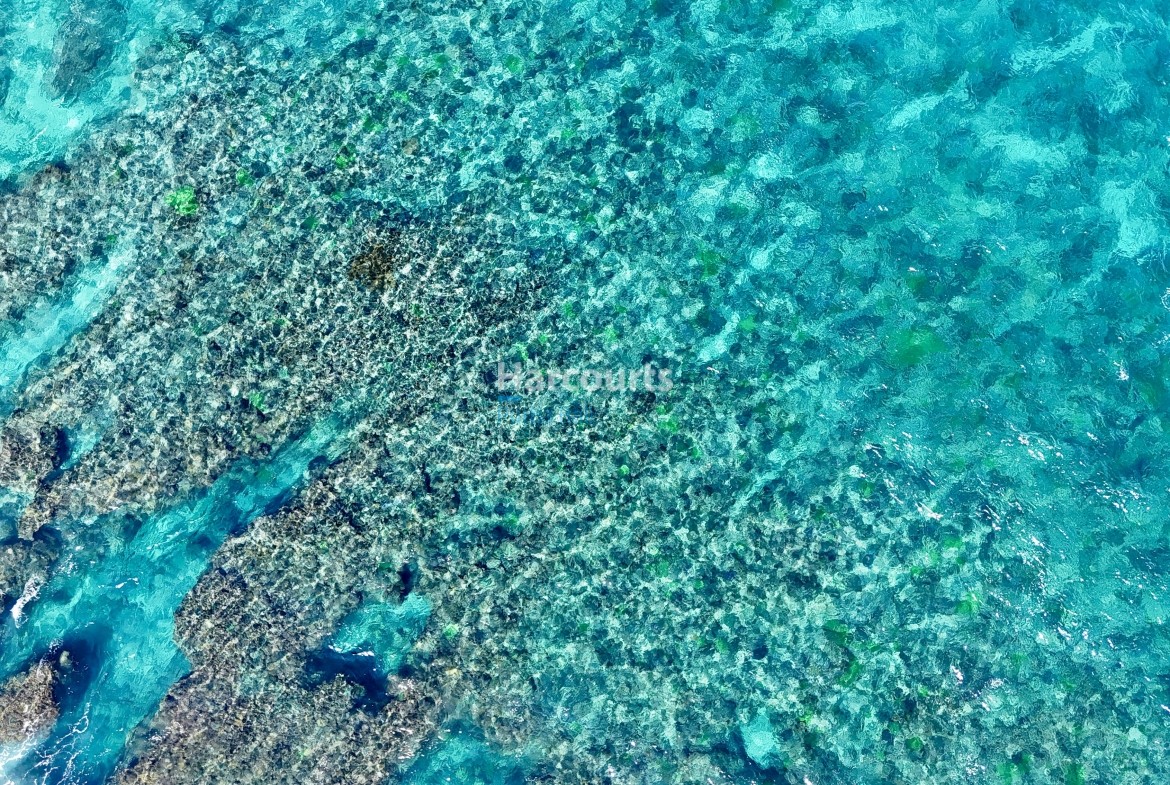 Img 0949