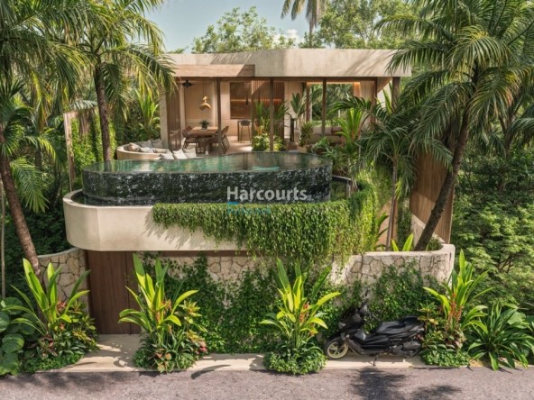 Discover Boutique Collection Contemporary Tropical Modern