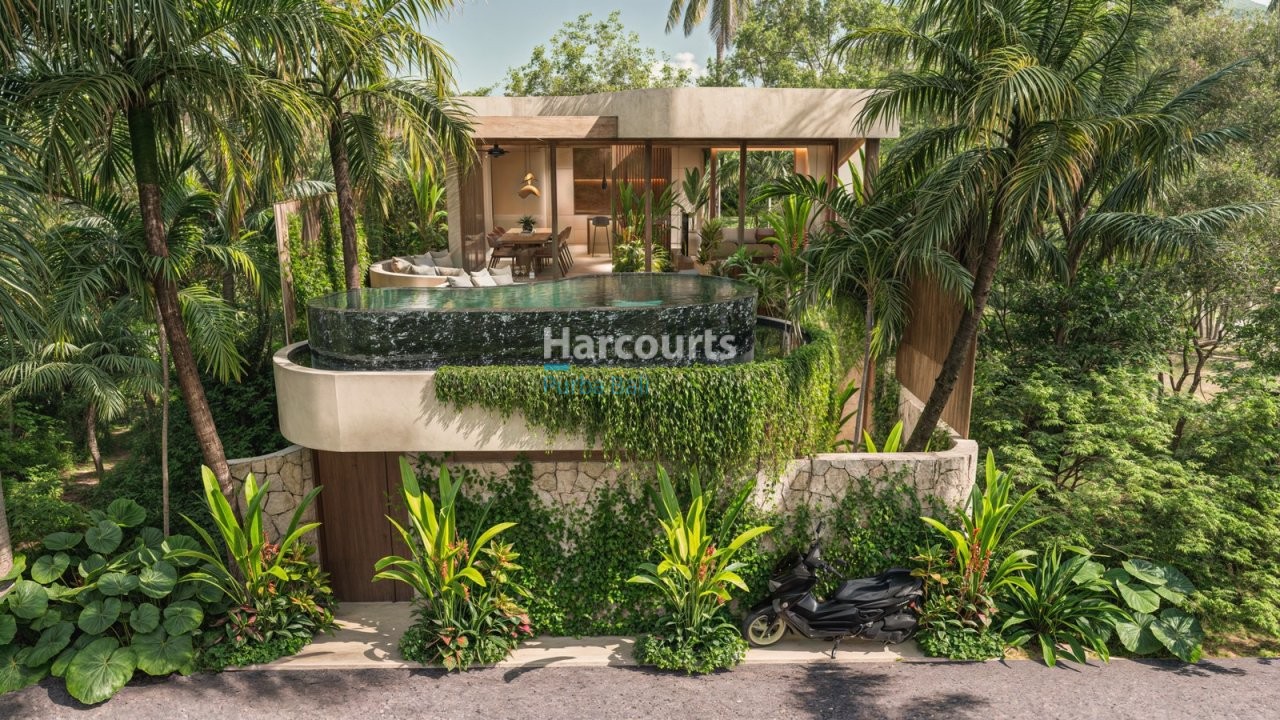 Discover Boutique Collection Contemporary Tropical Modern