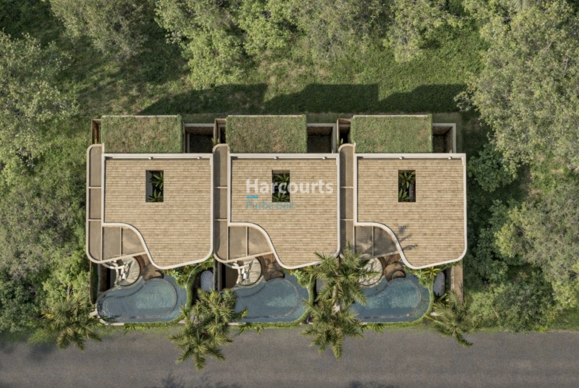 Discover Boutique Collection Contemporary Tropical Modern1