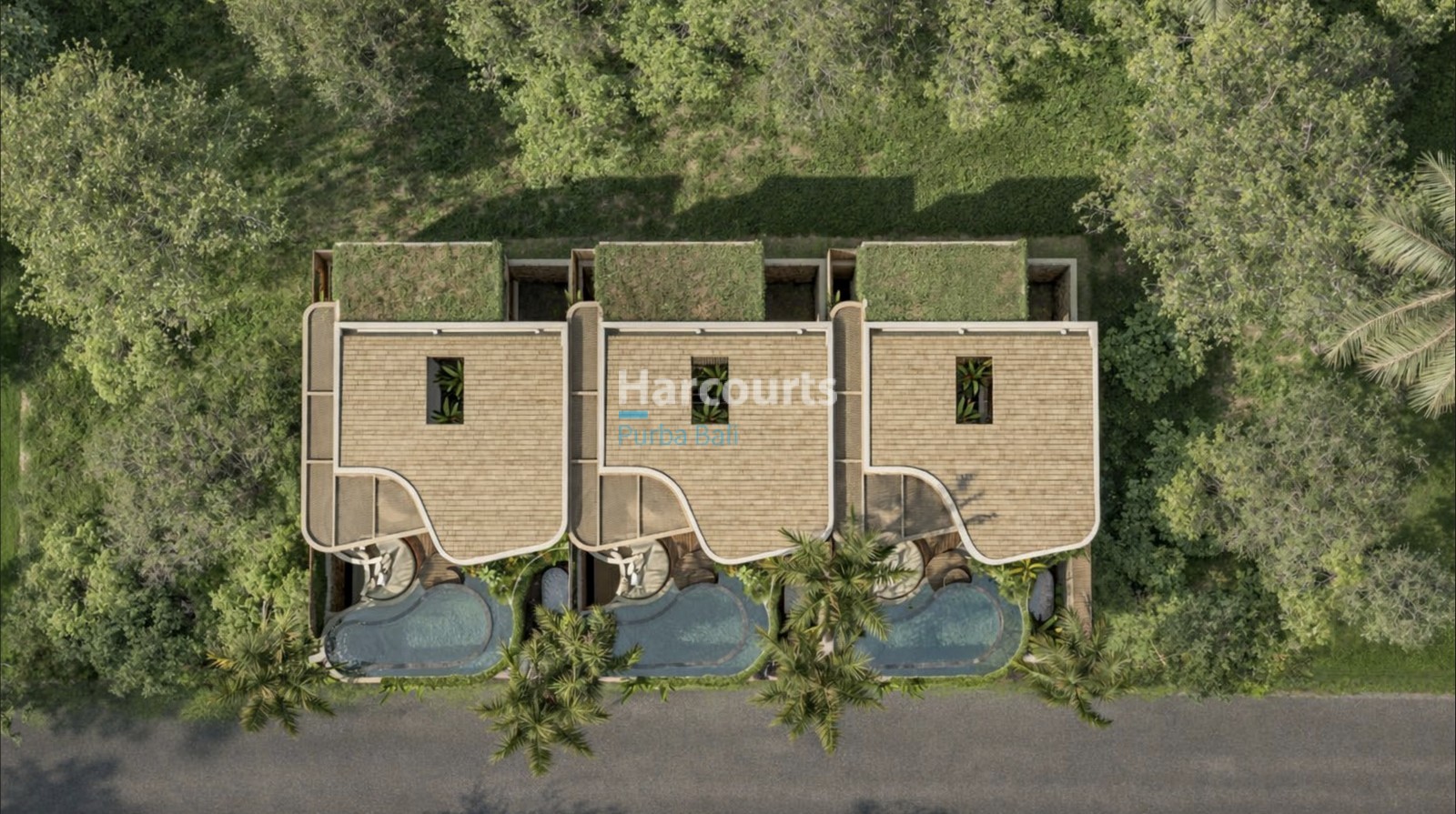 Discover Boutique Collection Contemporary Tropical Modern1