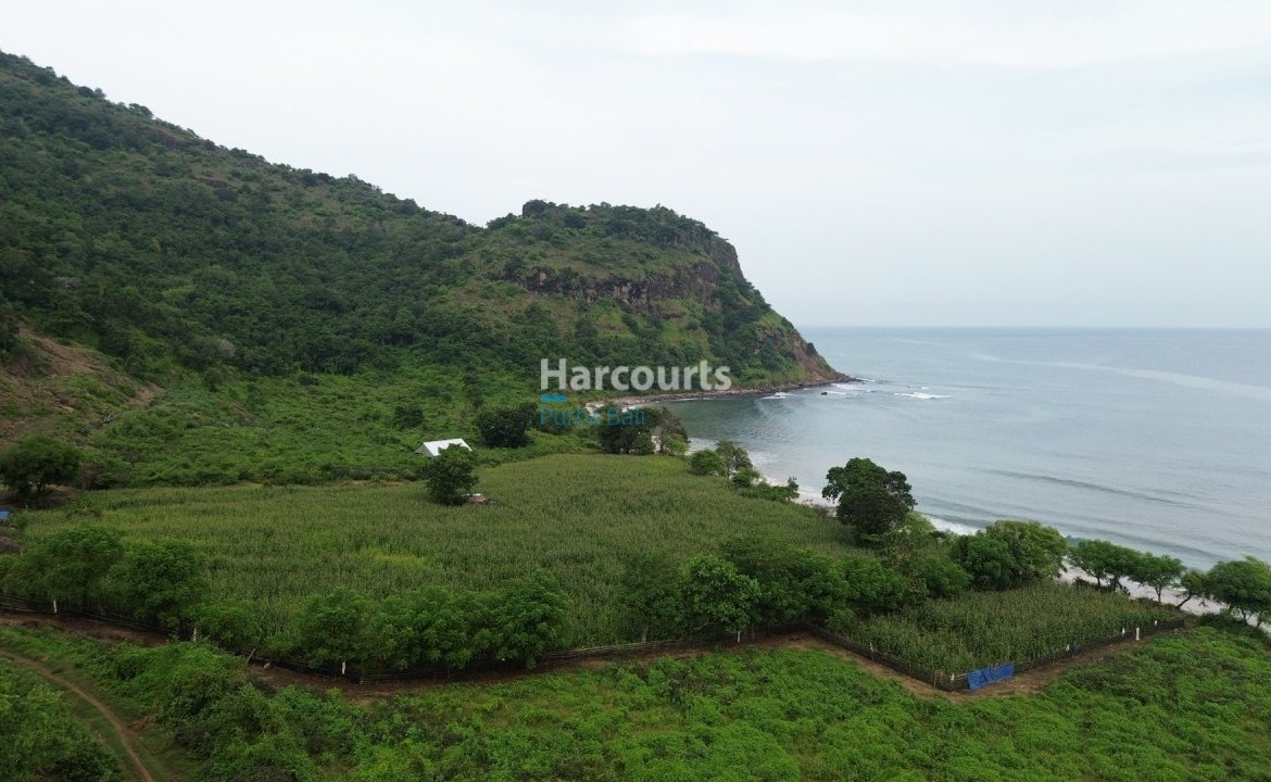 Discover Exceptional Beachfront Investment Freehold Ownership