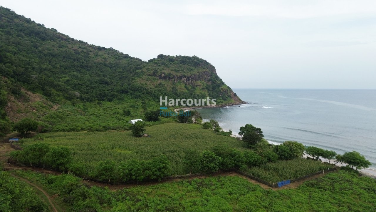 Discover Exceptional Beachfront Investment Freehold Ownership