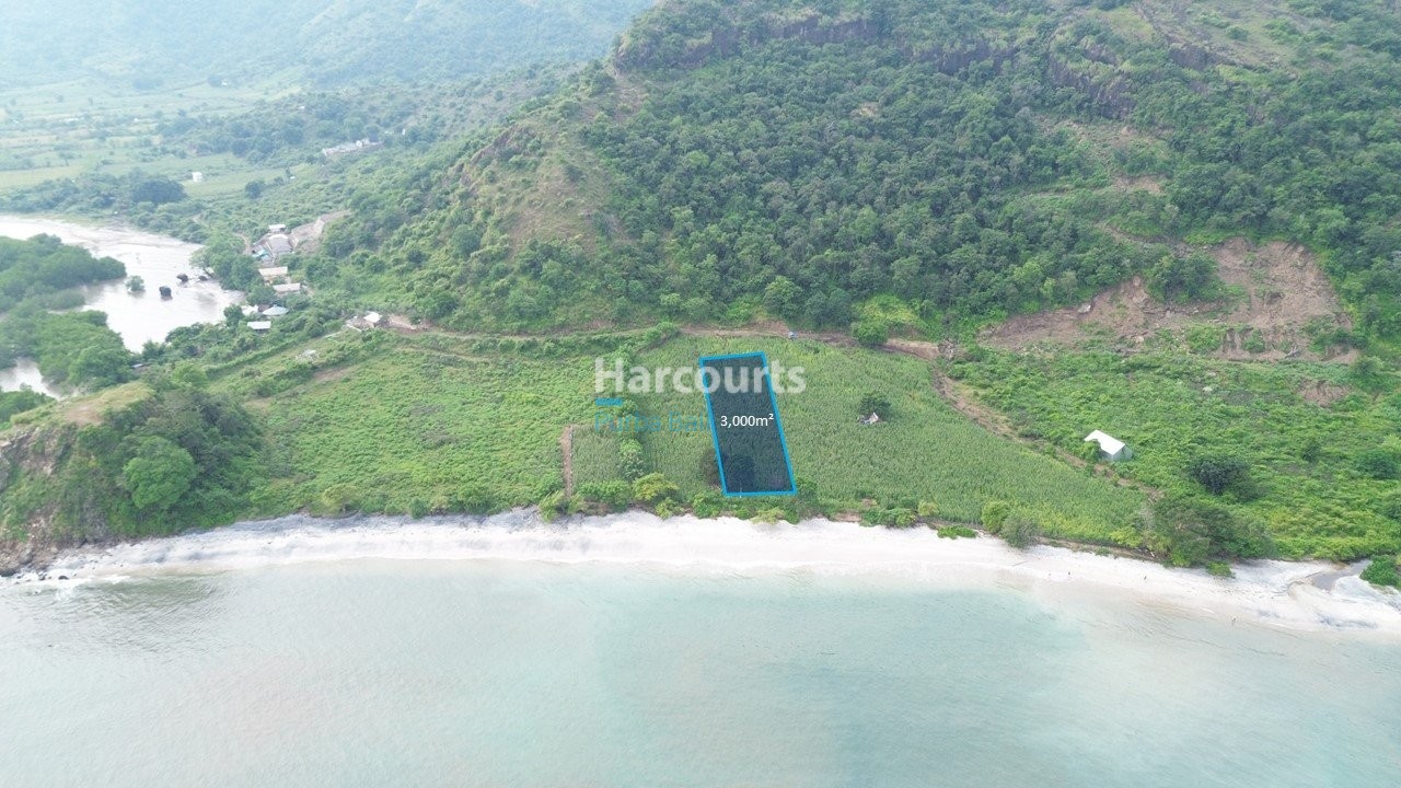 Discover Exceptional Beachfront Investment Luxury Living