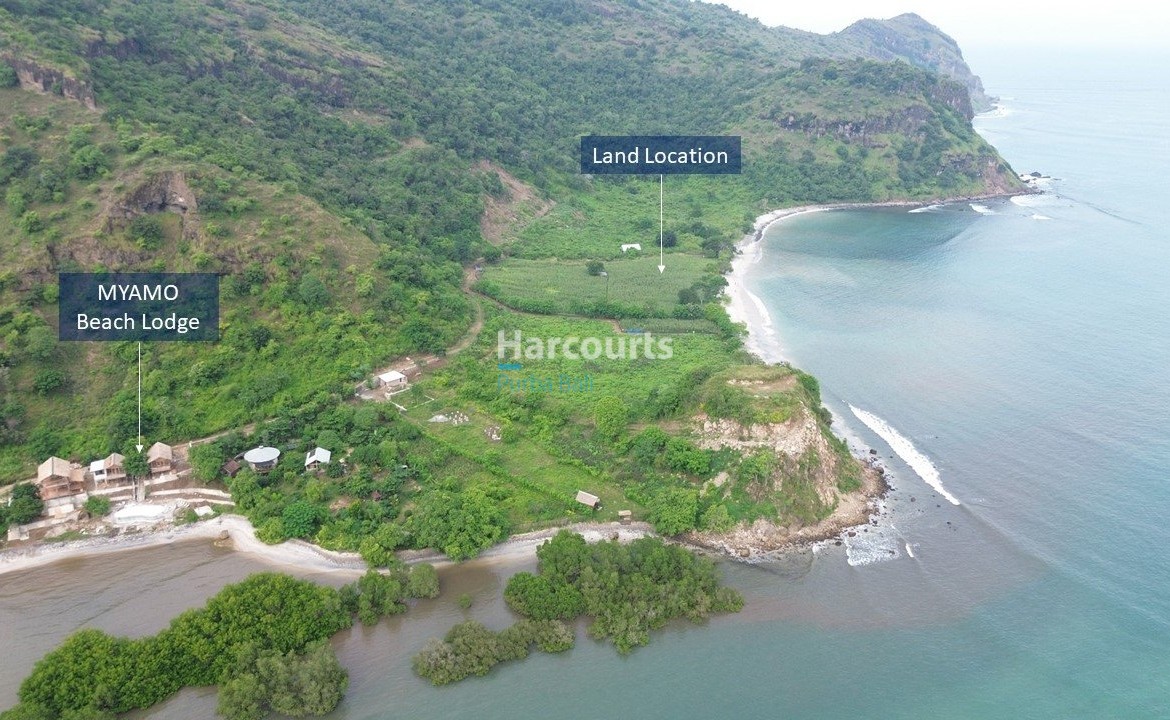 Discover Exceptional Beachfront Investment Property Investment