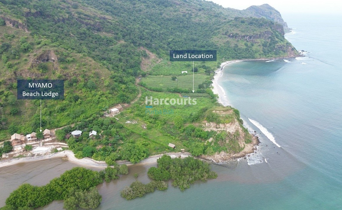 Discover Exceptional Beachfront Investment Property Investment