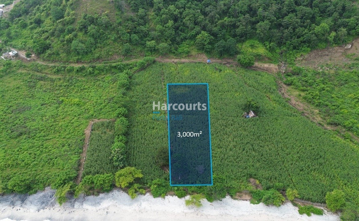 Discover Exceptional Beachfront Investment Real Estate Bali