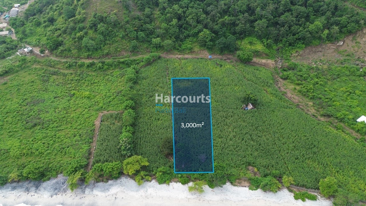 Discover Exceptional Beachfront Investment Real Estate Bali