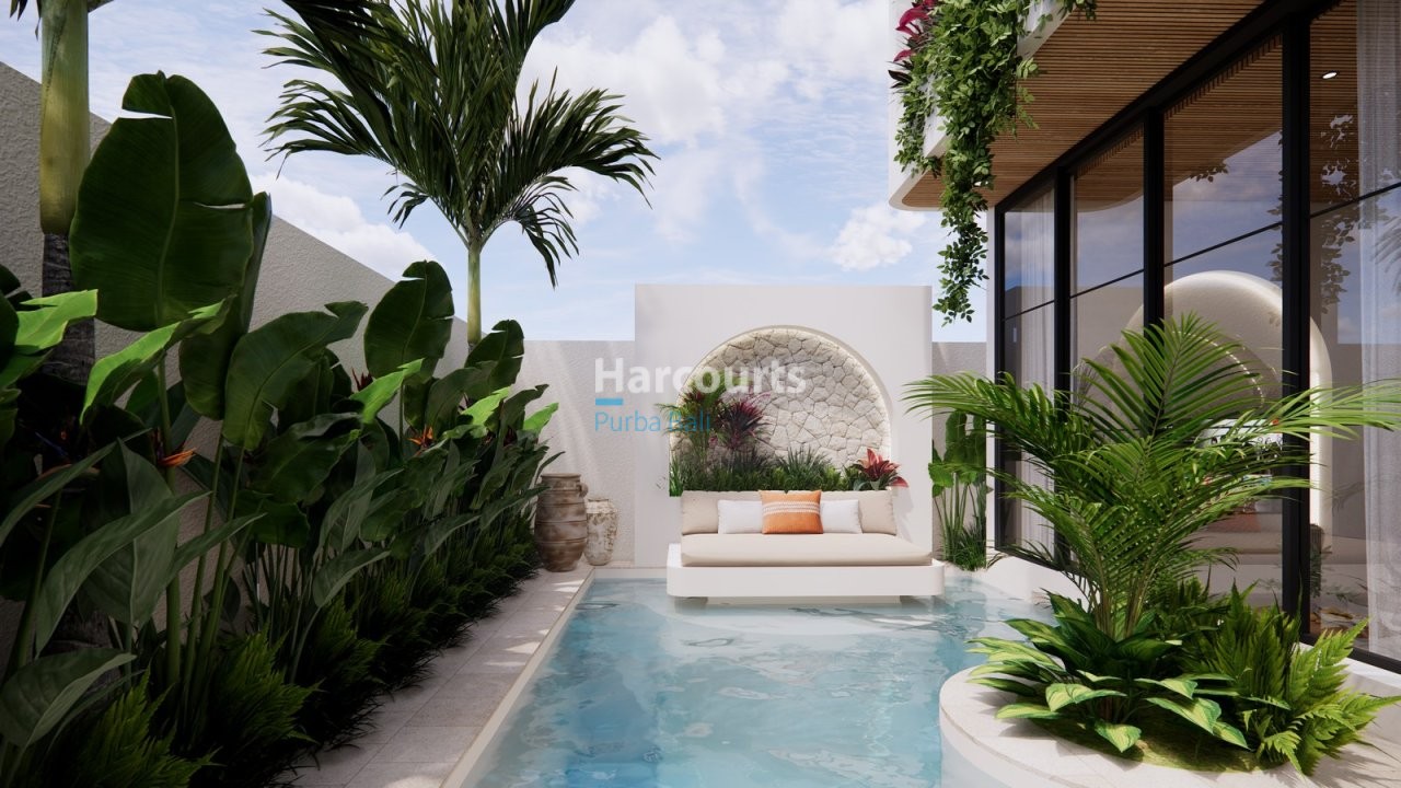 Discover Exceptional Investment Opportunity Swimming Pool