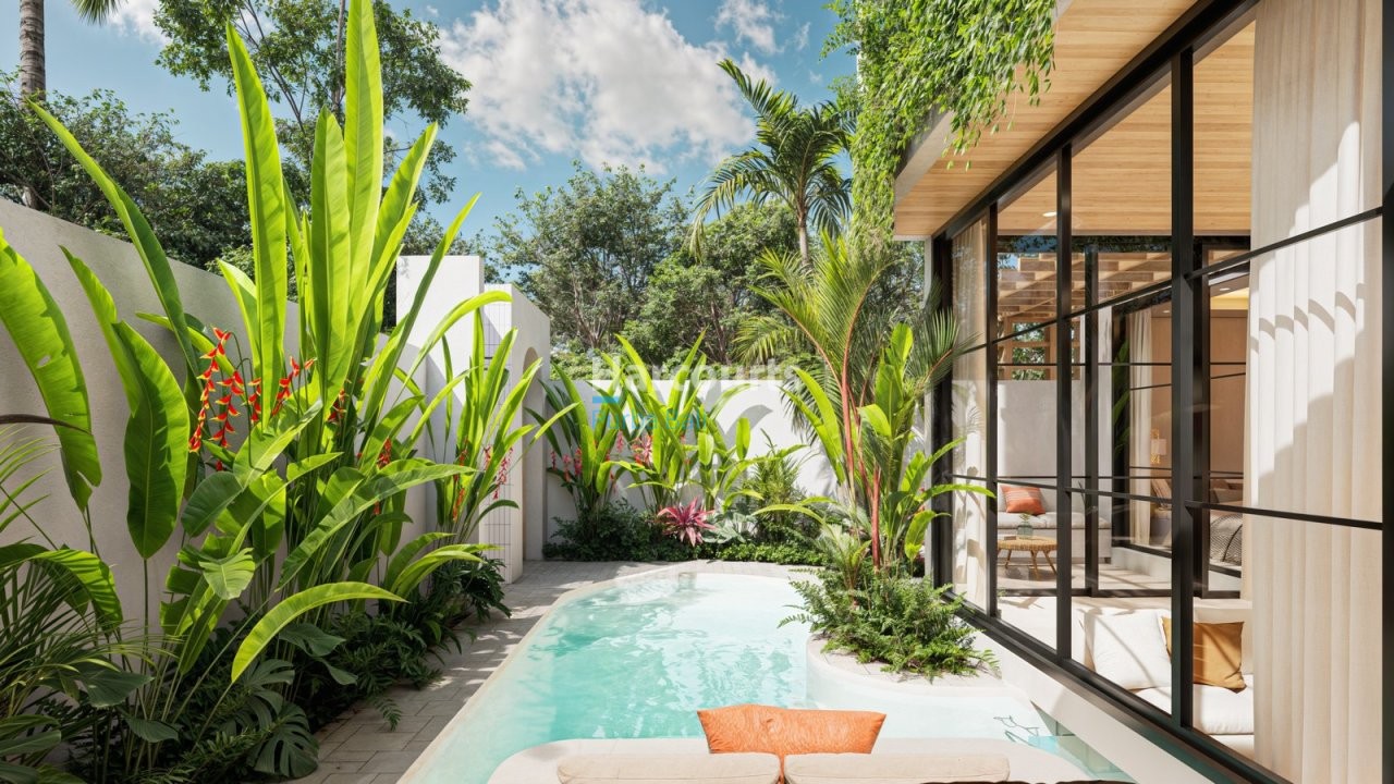 Editorial Experience Perfect Blend Tropical Modern