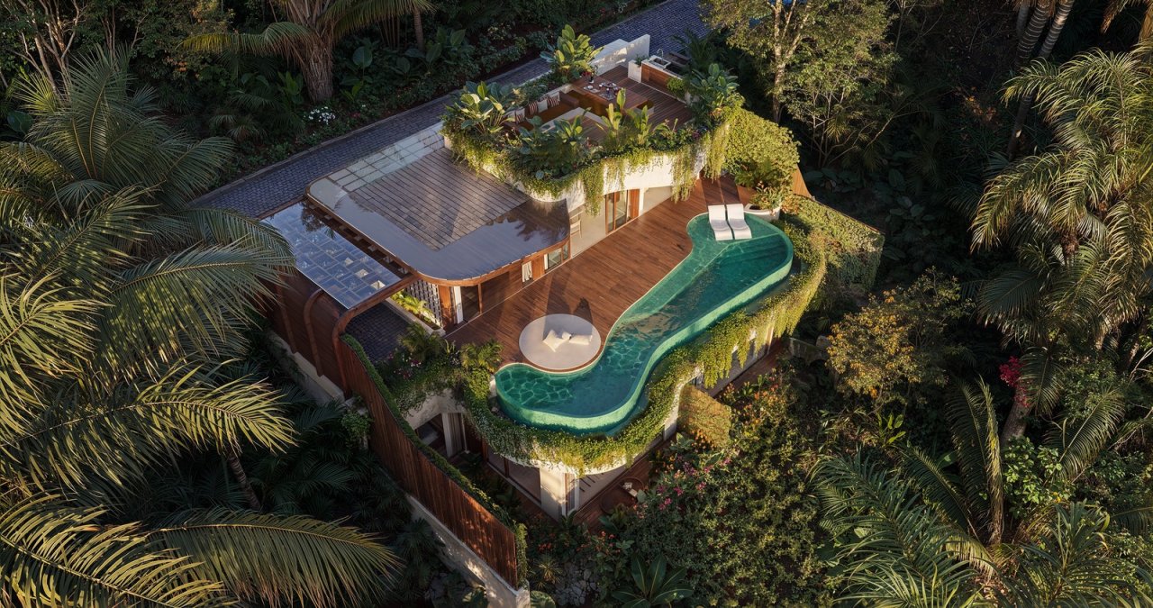 Experience Elevated Tropical Living Swimming Pool