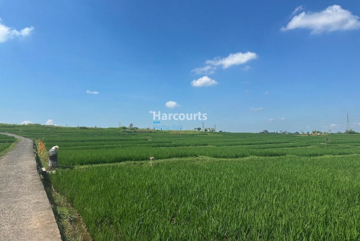 Nestled Tranquil Village Cepaka Real Estate Bali