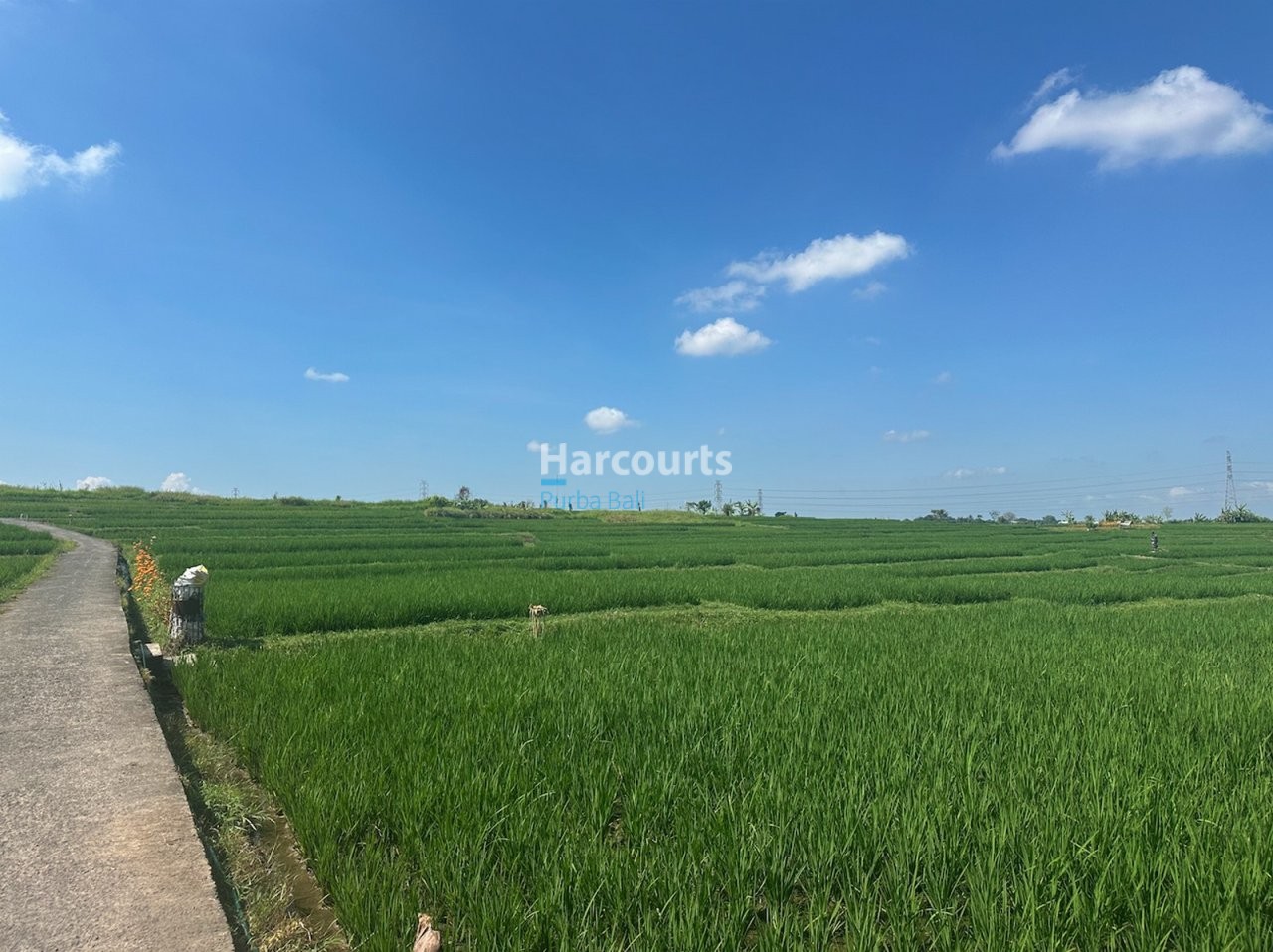 Nestled Tranquil Village Cepaka Real Estate Bali