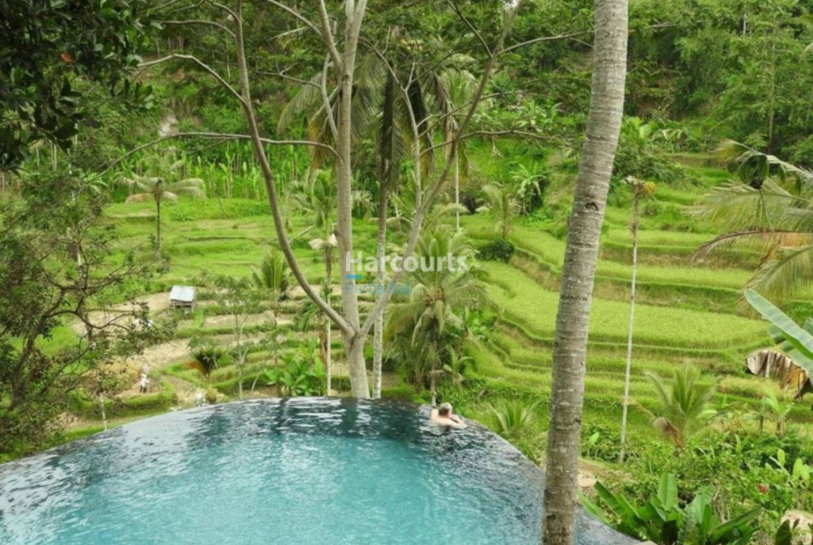 Perched Dramatically Above World Famous Luxury Living