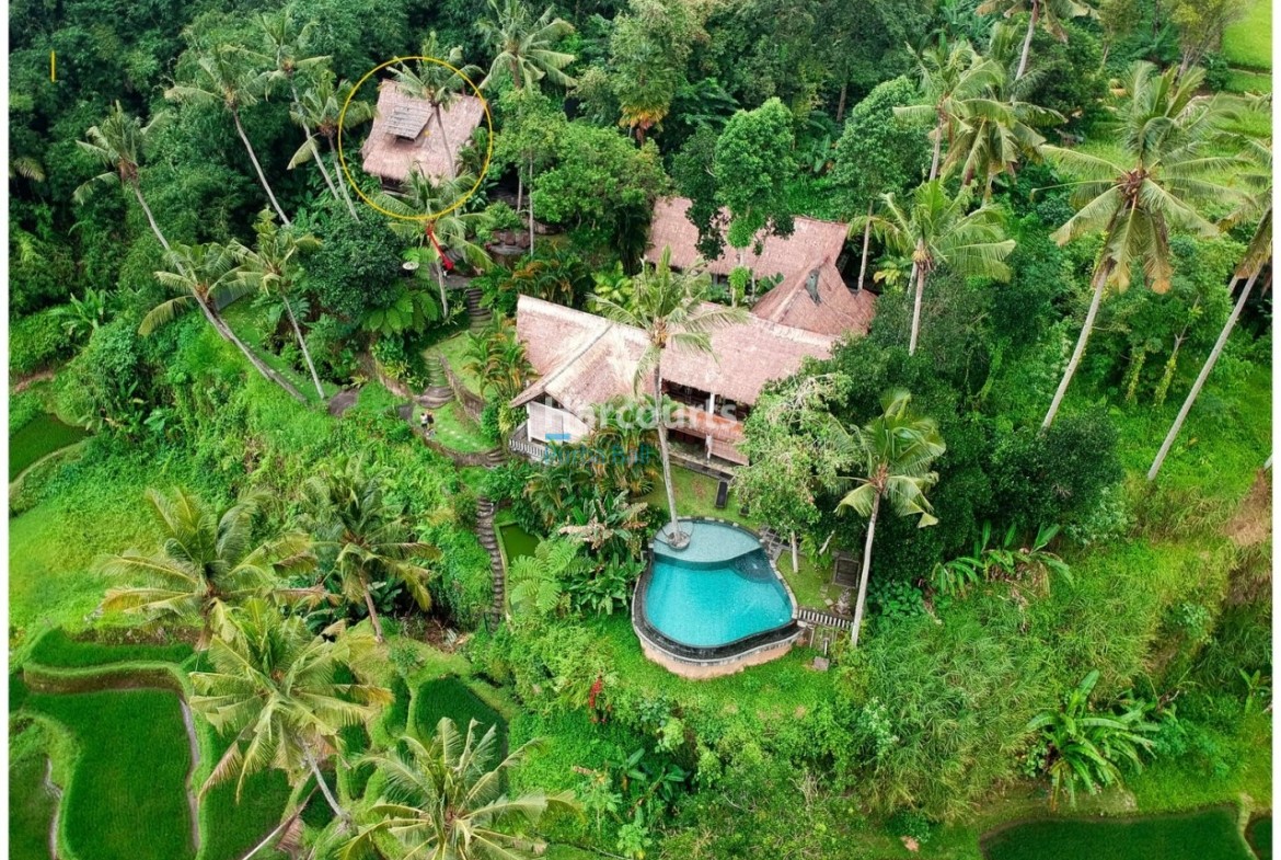 Perched Dramatically Above World Famous Property Investment