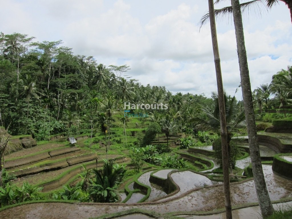 Perched Dramatically Above World Famous Real Estate Bali
