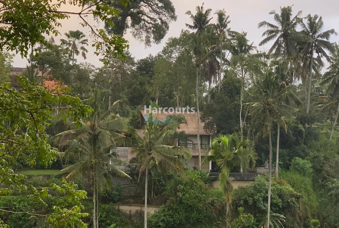 Perched Dramatically Above World Famous Tropical Modern1