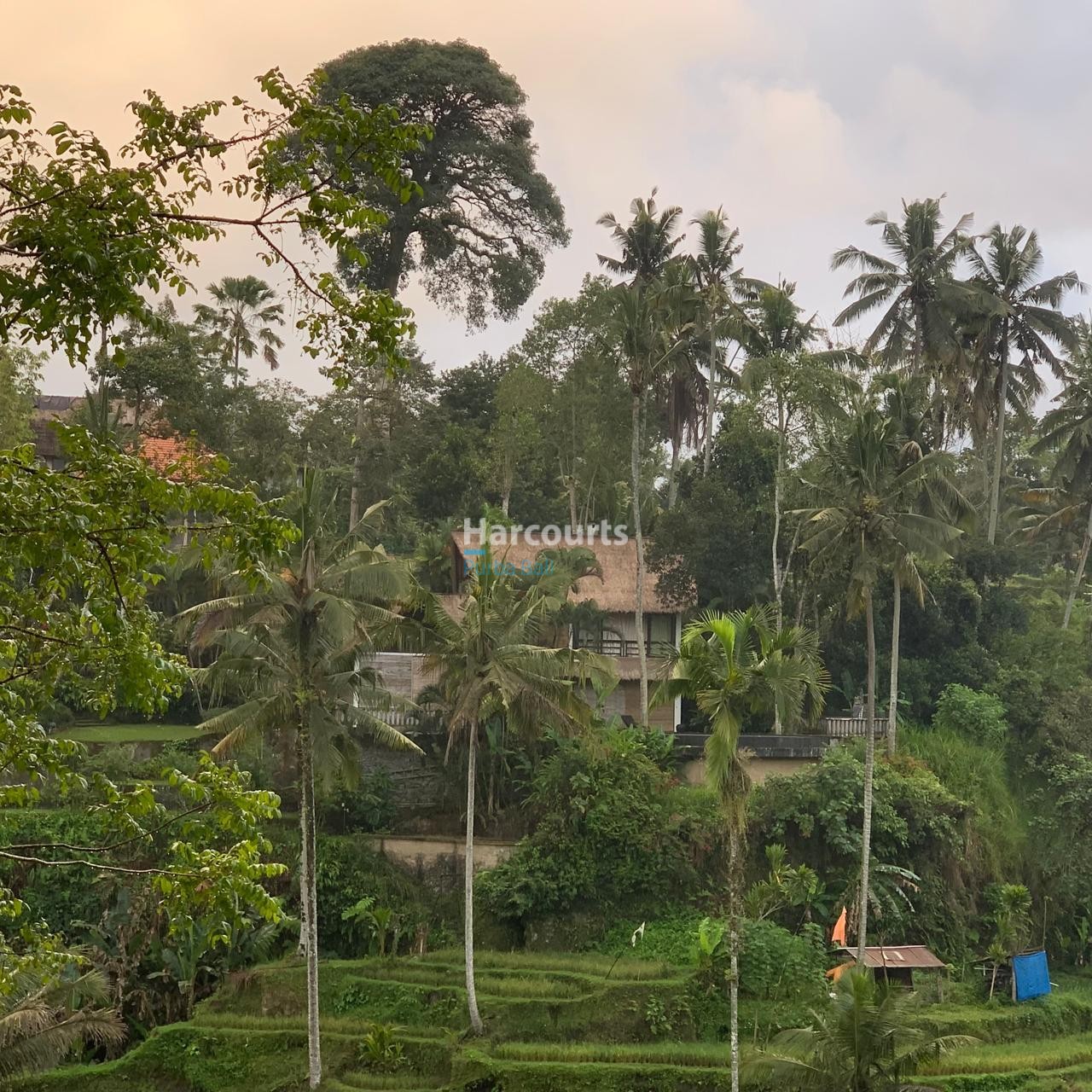 Perched Dramatically Above World Famous Tropical Modern1