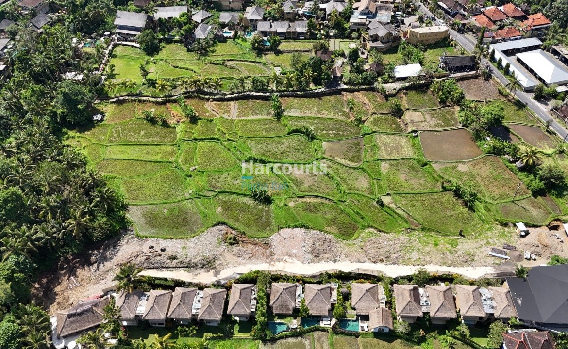 Positioned Within One Ubuds Leasehold Opportunity