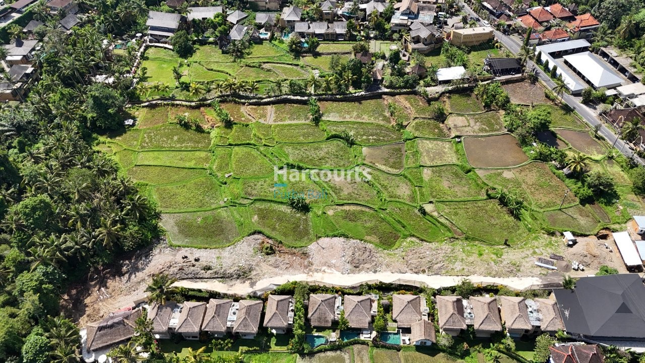 Positioned Within One Ubuds Leasehold Opportunity