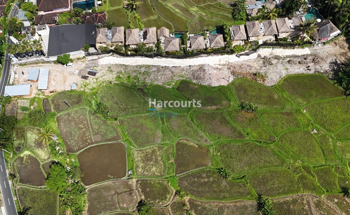 Positioned Within One Ubuds Property Investment