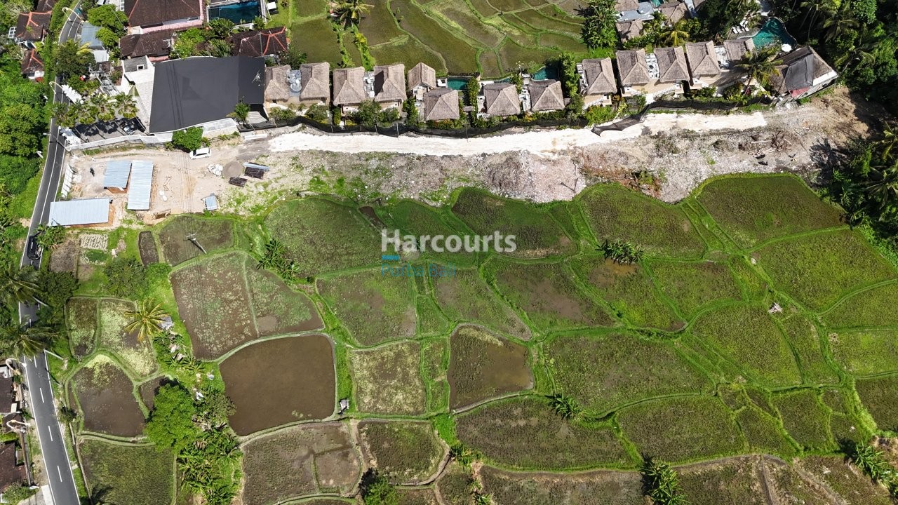 Positioned Within One Ubuds Property Investment