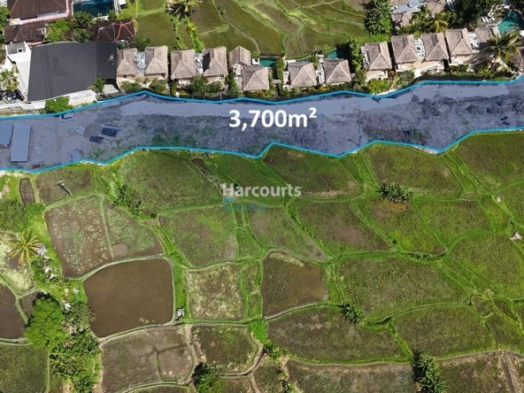 Positioned Within One Ubuds Real Estate Bali