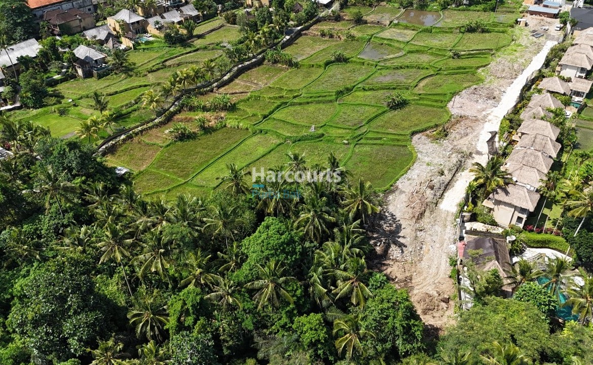 Positioned Within One Ubuds Ricefield View