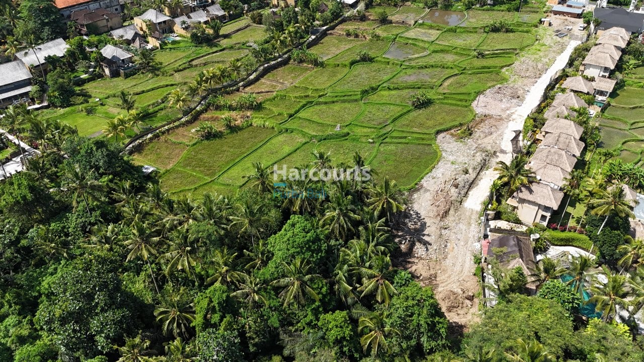 Positioned Within One Ubuds Ricefield View