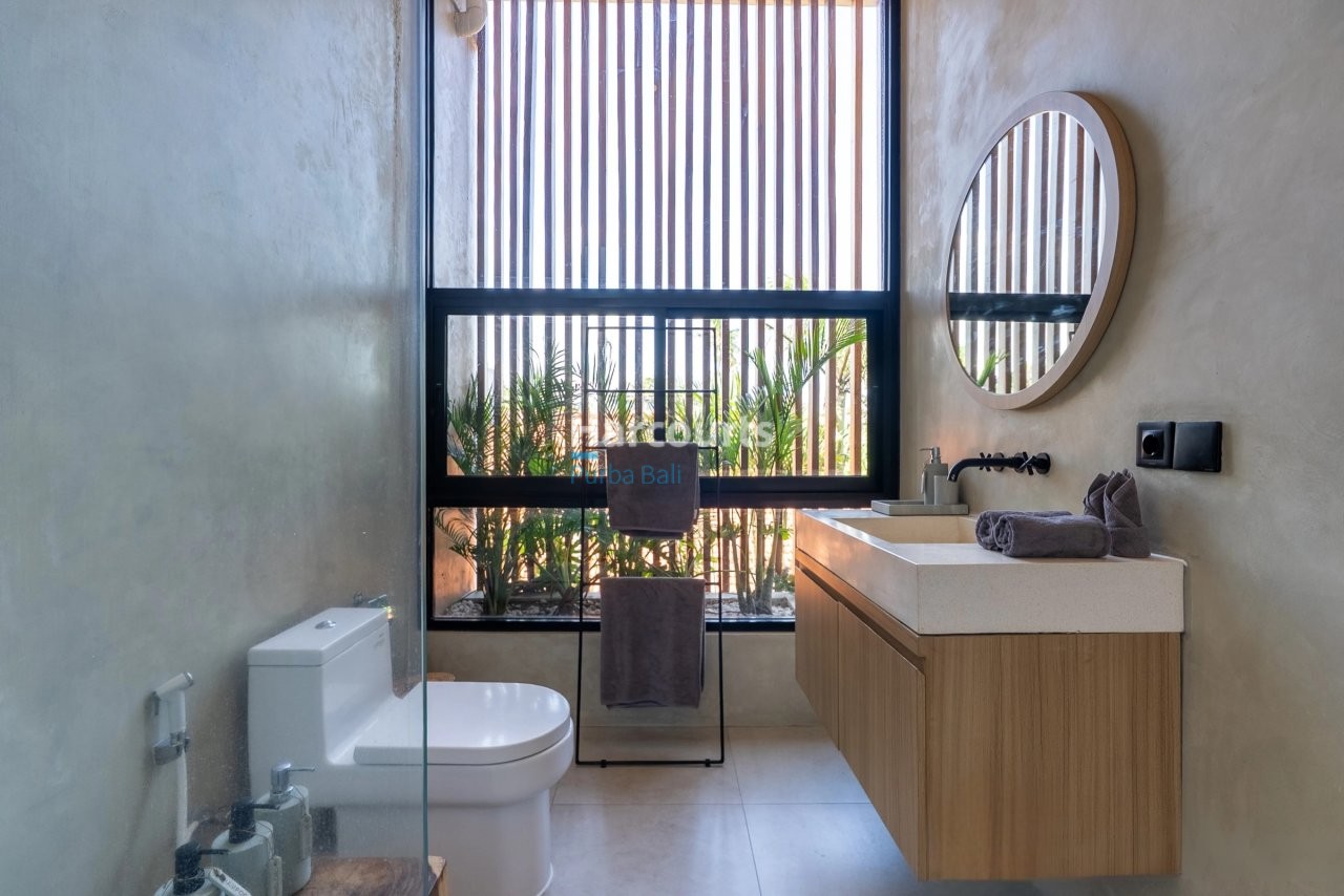 Set Highly Sought After Area Tropical Modern