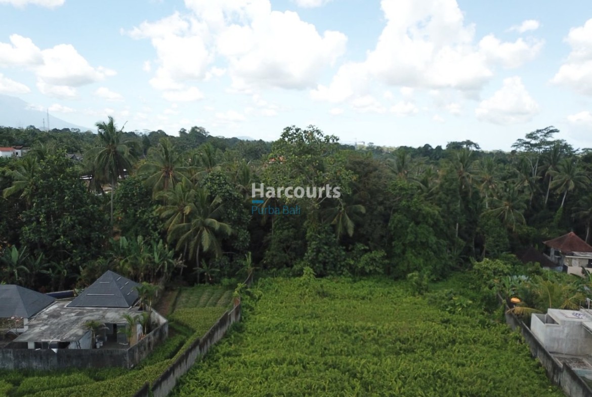 Situated Highly Desirable Petulu For Sale