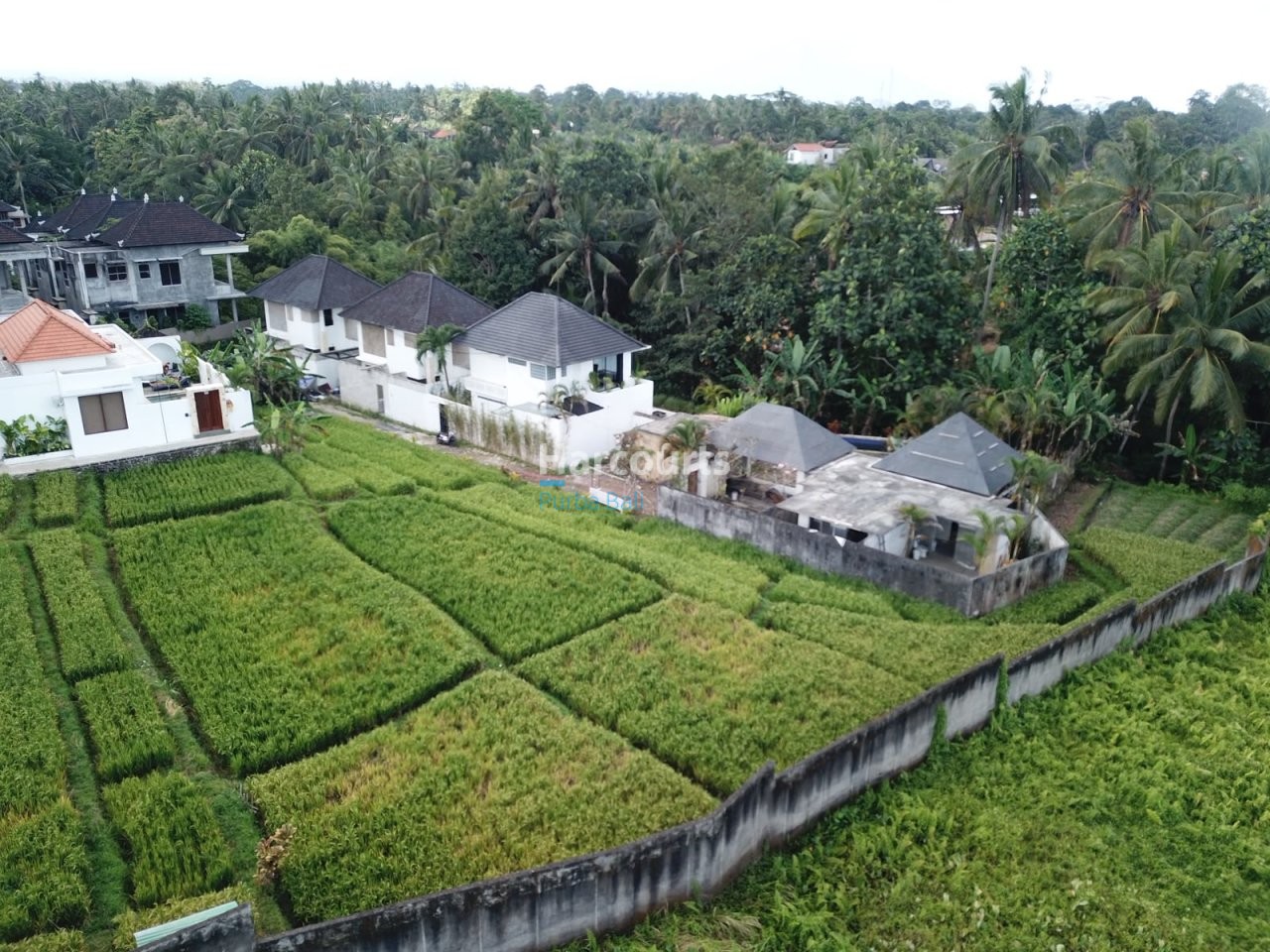 Situated Highly Desirable Petulu Real Estate Bali