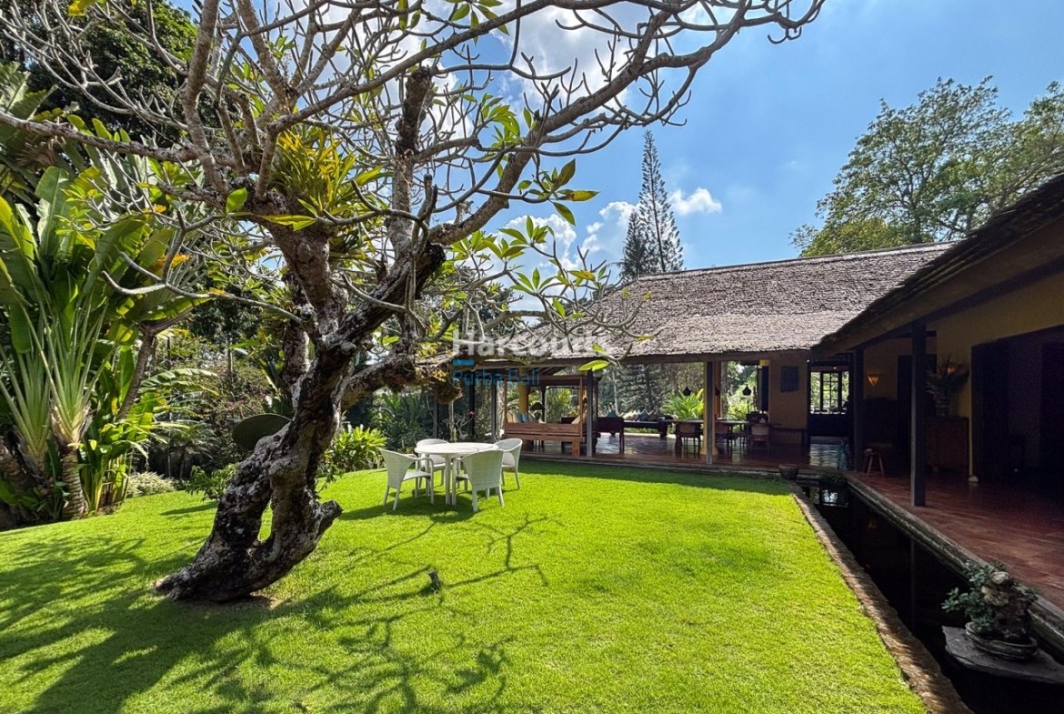 Within Lush Greenery Cepaka Bali Home