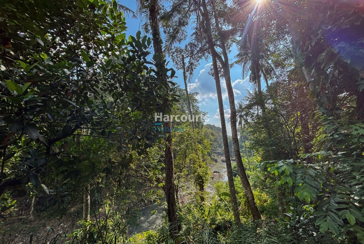 Within Lush Greenery Cepaka Luxury Living