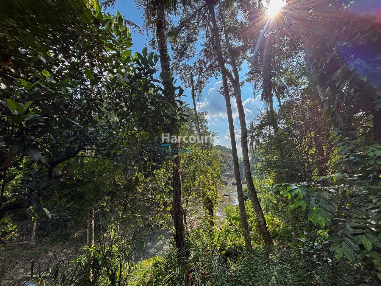 Within Lush Greenery Cepaka Luxury Living