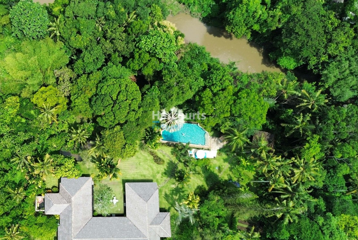 Within Lush Greenery Cepaka Tropical Modern2