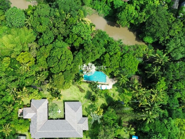 Within Lush Greenery Cepaka Tropical Modern2