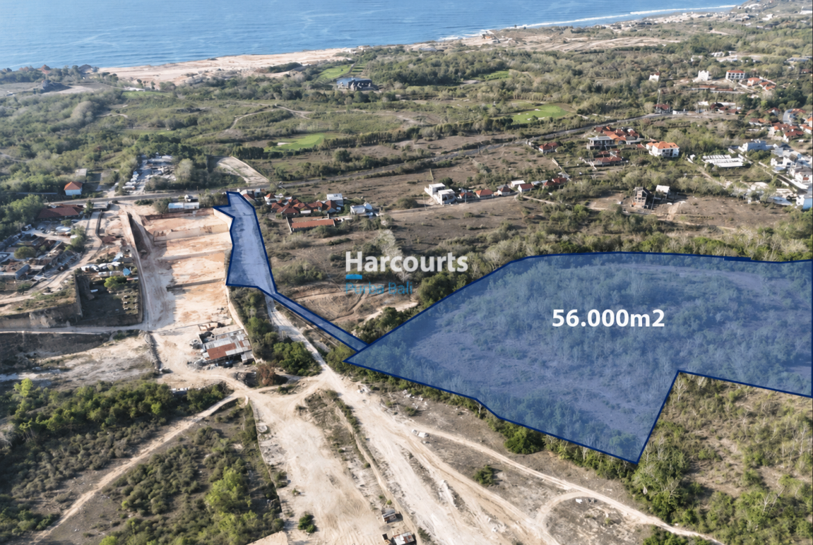 5 6ha New Shape