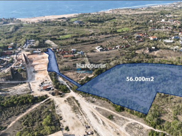 5 6ha New Shape
