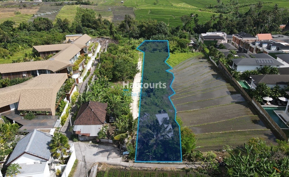 Land May Leased Whole For Sale