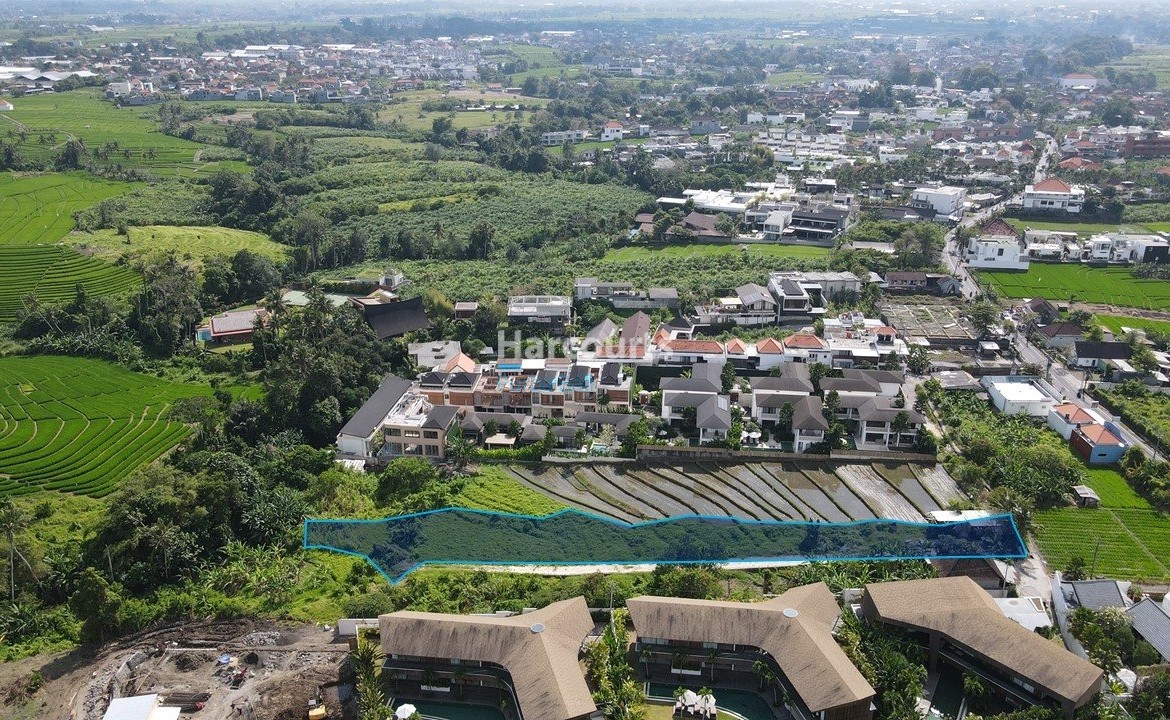 Land May Leased Whole Freehold Ownership